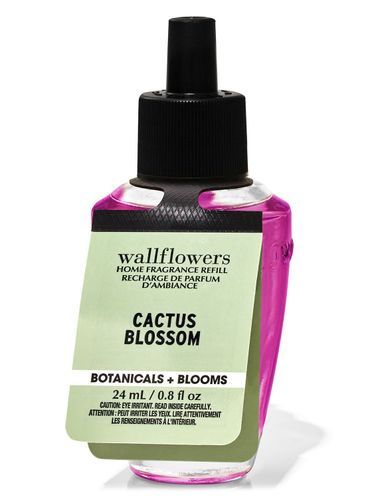 Cactus Blossom