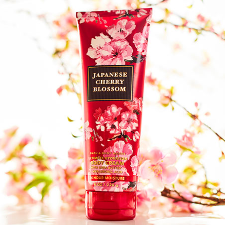 Japanese Cherry Blossom